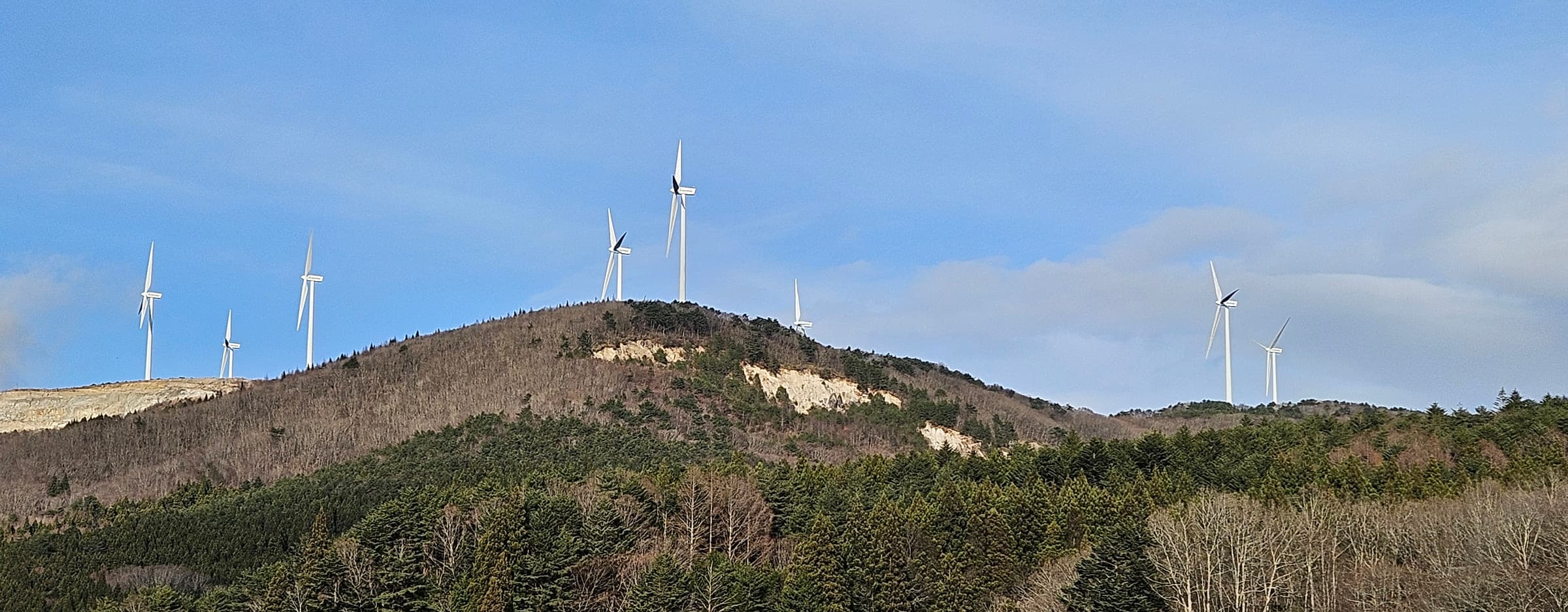 風力発電