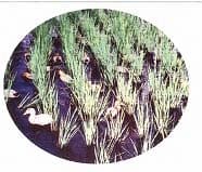 健康は食事から