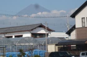 やっとお会いできました。