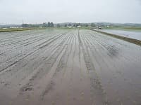 GW いかがでしたか?