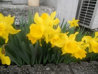 あの、震災から一ヶ月。