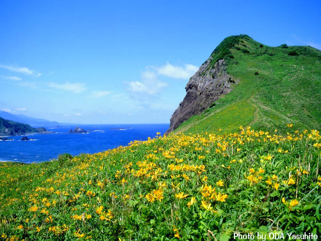 旅立ち