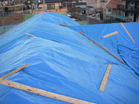 屋根の上から見た様子