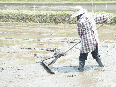デ ・ ビ ・ ュ ・ ー です