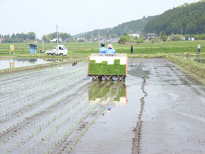 そして、もう一人 デ ・ ビ ・ ュ ・ ー です。