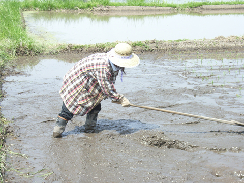 デ ・ ビ ・ ュ ・ ー です2