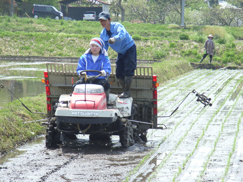 随分真っ直ぐになってきました1