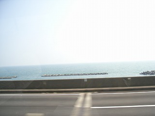 静岡の海